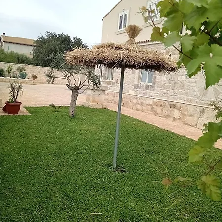 Arjana
